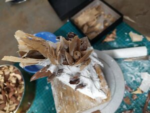 IMG_20191107_111211