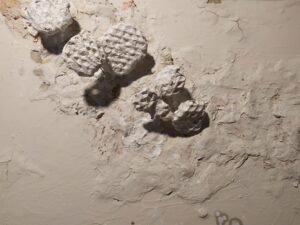 IMG_20191205_120939